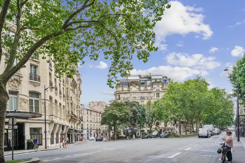 Boulevard haussmannien bordé d'arbres et d'immeubles de pierre